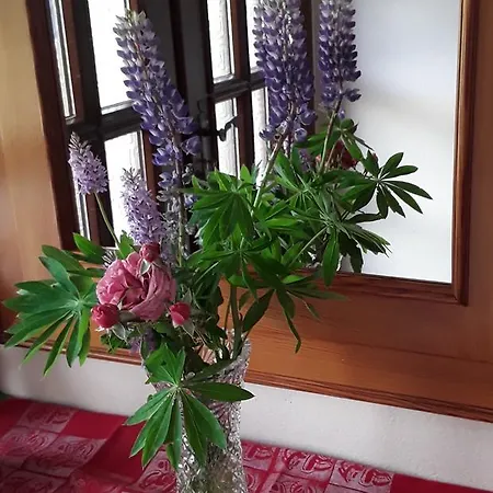 Gastehaus Kuchernig Volkermarkt